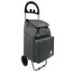 thumbnail image 1 of Carrito De Compras Plegable  Glasgow 47 Lts Gris, 1 of 7