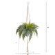 thumbnail image 2 of Planta artificial con forma de helecho casi natural para colgar, 25 cm, con cesta, 2 of 4