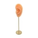 thumbnail image 1 of Soporte De Exhibición De Pendientes, Modelo De Oído Humano, Soporte De Perno, Escaparate, Organizador De Joyas, Piel Normal Izquierda, 1 of 5