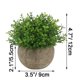 thumbnail image 3 of Planta Artificial Ogrmar de 12 cm con Hoja Verde en Maceta, 3 of 5