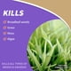 thumbnail image 3 of Herbicida Bonide Captain Jack's Deadweed Brew 3.8 L Organic, 3 of 8