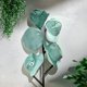 thumbnail image 3 of Dye Rit Purpose Liquid Sage para tela, madera, papel y corcho, 3 of 7