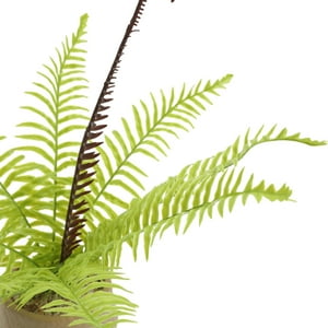 Homewell - Magnetico Verduras Amarillo 5.5*4Cm