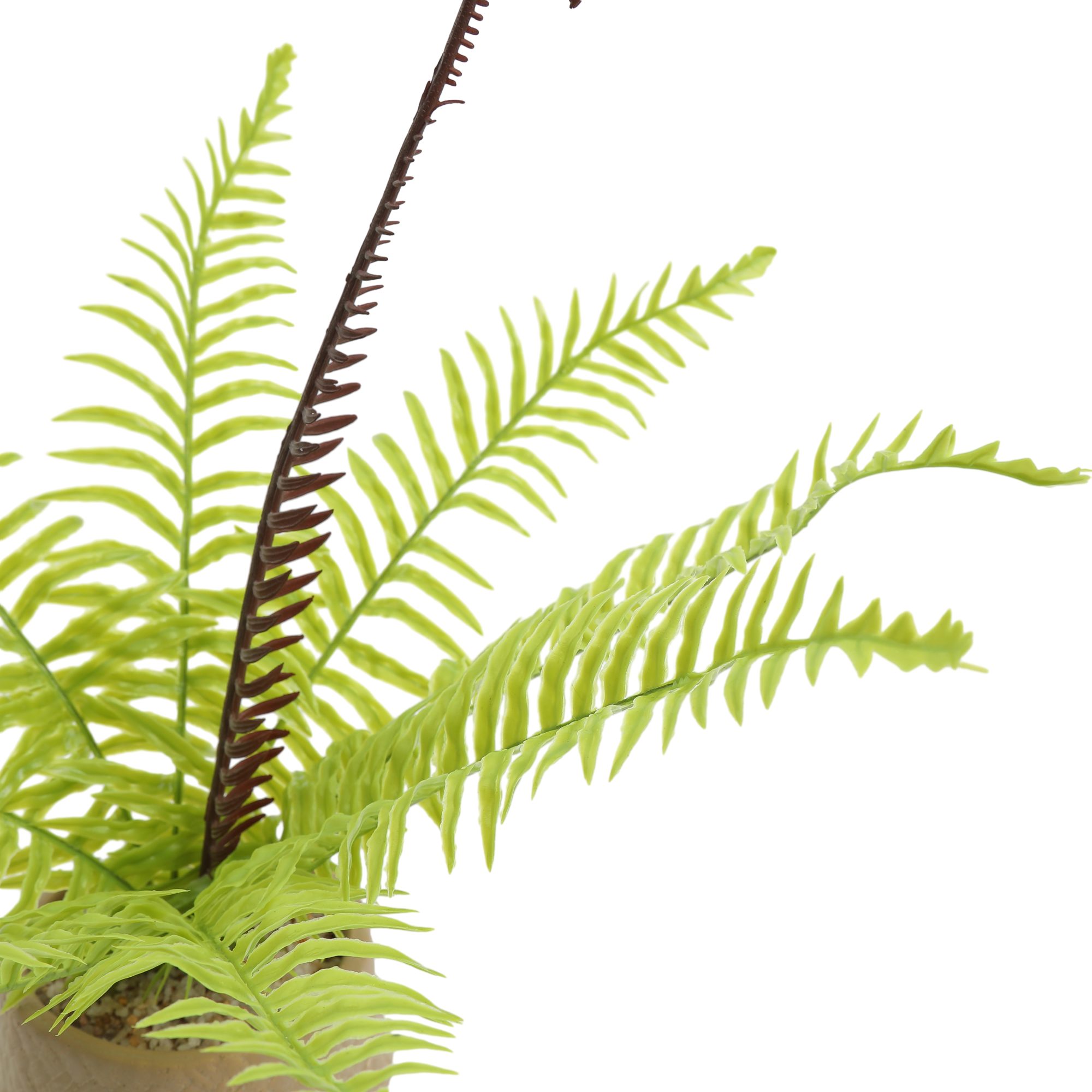 Homewell - Magnetico Verduras Amarillo 5.5*4Cm