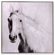 thumbnail image 4 of Cuadro Decorativo Pegasus 83x83, 4 of 4