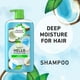 thumbnail image 3 of Champú Hidratante Herbal Essences Hello Hydration 860 ml, 3 of 3