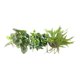 thumbnail image 3 of Planta Artificial En Macetero Cemento Para Colgar (Puede Tocar Cualquier Diseño), 3 of 3