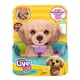 thumbnail image 1 of JUGUETE LITTLE LIVE PETS PERRITO REAL, 1 of 7