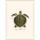thumbnail image 4 of Juego de tarjetas de notas Earth Sky + Water, 8 tarjetas surtidas, 4 of 6