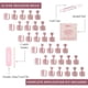 thumbnail image 4 of Uñas a presión Glamnetic The Vow Shimmery Nude 32 unidades, 4 of 6