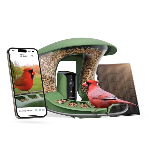 Comedero para Pájaros Birdfy 2 con Cámara Solar Inalámbrica y Detección de Movimiento