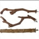 thumbnail image 3 of 5PCS Bird Perch Stand Natural Parrot Wooden Stand Branch, 3 Perch de madera de uva, 2 Stand, Pata de molienda de horquilla Parakeet Masquear Palo de entrenamiento de ejercicio (25cm), 3 of 3