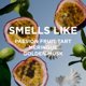 thumbnail image 4 of Perfume de Rosie Jane Matilda Travel, 10 ml, para mujer, 4 of 8