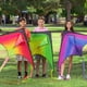thumbnail image 2 of Kite JOYIN Large Delta naranja, verde y morado para niños y adultos, 2 of 7