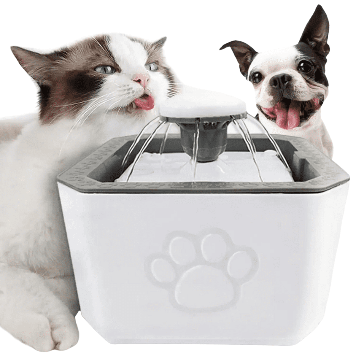 Genérico - Fuente De Agua Mascotas Perros Gatos 2.5 Litros Automática