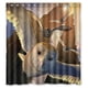 thumbnail image 1 of Cortina de ducha OVO Flying Owl con ganchos (167 x 183 cm), 1 of 3