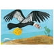thumbnail image 3 of Láminas aventuras en el aire de la tortilla corredora azul, 3 of 4