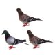 thumbnail image 1 of 3x falsas plumas artificiales de espuma palomas aves boda decoración adornos lugar, 1 of 5