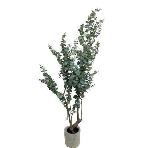 Corel - Árbol Eucalipto 180Cm