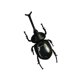 thumbnail image 1 of Novedad Solar Powered Simulación Insectos Animales Model Toy Beetle, 1 of 3