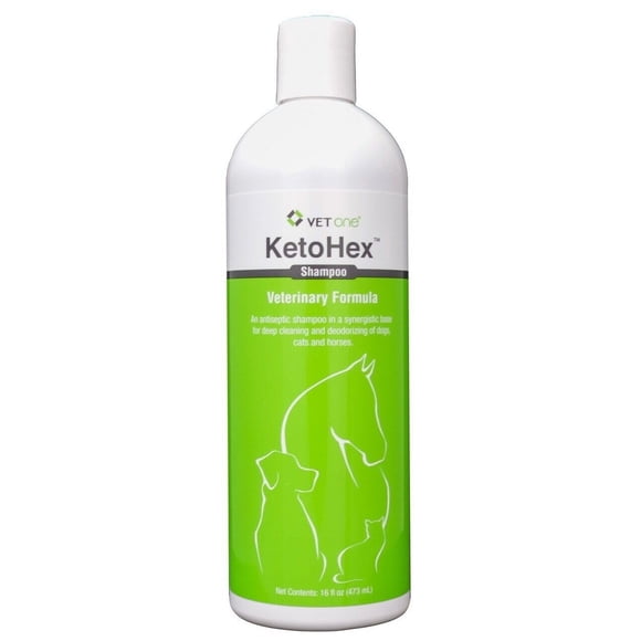 Shampoo VetOne KetoHex 473 mL Antibacterial para Pulgas y Garrapatas en Gatos y Perros