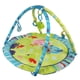 thumbnail image 3 of Gimnasio para Bebé 8520 Tonos verdes. Tonos azules, 3 of 3