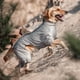 thumbnail image 3 of Chaqueta de invierno para perros Pet Life® Dog Helios 'Thunder-Crackle', 3 of 9