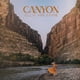 thumbnail image 1 of LP Canyon de Ellie Holcomb - Capitol Christian Music Group, 1 of 1