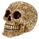 thumbnail image 3 of Decoración de Halloween, calavera de Treasure Cove P784120, gótica, 3 of 4