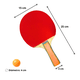 thumbnail image 2 of Set de Ping Pong con 2 Paletas, Pelotas y Estuche, 2 of 2