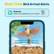 thumbnail image 4 of Comedero Para Pájaros Tuc 2k Hd Cámara Solar Ai De 32 Gb, 4 of 9