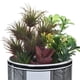 thumbnail image 3 of Planta Decorativa Artificial Cali, 3 of 4