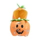 thumbnail image 5 of Disfraz De Calabaza Para Perro Para Halloween, Divertido Disfraz Para Fiesta De Halloween, Gatito XL, 5 of 5