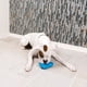 thumbnail image 2 of Juguete para perros Chilly Penguin Mediano, 2 of 7