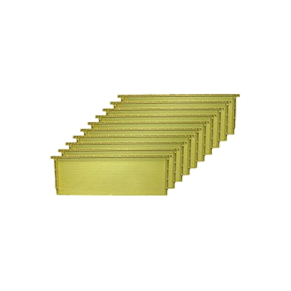 Marcos para Apicultura Mann Lake Premium Paquete de 10 de 6.25 cm Natural