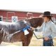 thumbnail image 2 of Kit de inicio de aditivo para baño Weaver Equine eZall azul, 2 of 5