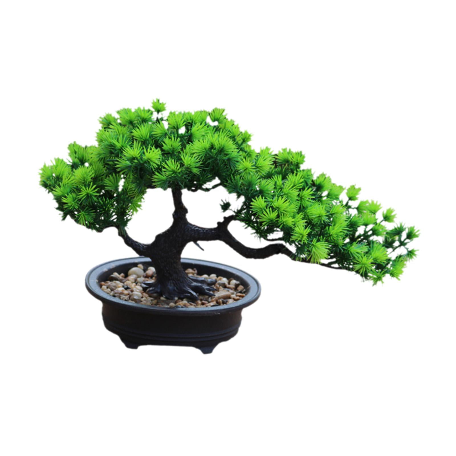 Bothyi - Pantallas De Escritorio De Bonsai De Plantas Artificiales Para La Altura Del Hotel De La Oficina De La Granja 19 Cm