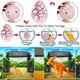thumbnail image 4 of Huevos de Dinosaurio iGeeKid 60 piezas – Regalo Educativo para Niños, 4 of 8