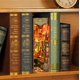 thumbnail image 4 of Tonecheer Soporte para libros de madera DIY en 3D con luz LED con sensor, 4 of 7