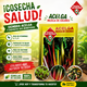 thumbnail image 3 of Semilla Acelga Colores para Huerto y Jardín Las Encinas, 3 of 4