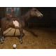 thumbnail image 2 of Game Mindscape My Life Farm Vet Nintendo Switch, 2 of 3