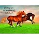 thumbnail image 3 of Tarjetas de Felicitación CPG Caballos Salvajes 12 unidades (Escritura KJV), 3 of 9