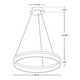 thumbnail image 2 of Lámpara Colgante Circular LED 45W Neutro, 2 of 3