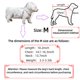 thumbnail image 3 of Poncho de lluvia para perro BUBBLE-FLY Talla Mediana Transparente 4-8 lb (1,8-3,6 kg), 3 of 9