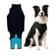 thumbnail image 1 of Traje de recuperación adecuado para cirugía de perros, color negro, talla grande, 1 of 9