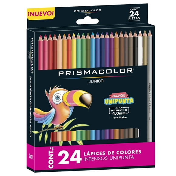 Lápiz color intenso 24 colores