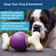 thumbnail image 2 of Juguete para perros PetSafe Busy Buddy Bouncy Bone para perros grandes, 2 of 6