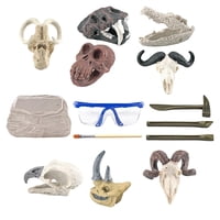Magideal - Kit De Excavación De Dinosaurios Kit De Ciencia Arqueológica Excavación De Descubrimiento Arqueológico Cráneos De Animales