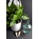 thumbnail image 4 of Estacas de riego para plantas Blumat XL Classic Automatic, paquete de 4, 4 of 9