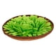 thumbnail image 5 of Mascota Perro Snuffle Mat Alfombra de alimentación para perros Interactivo Alimentos Rompecabezas Juguete Hierba Verde, 5 of 5